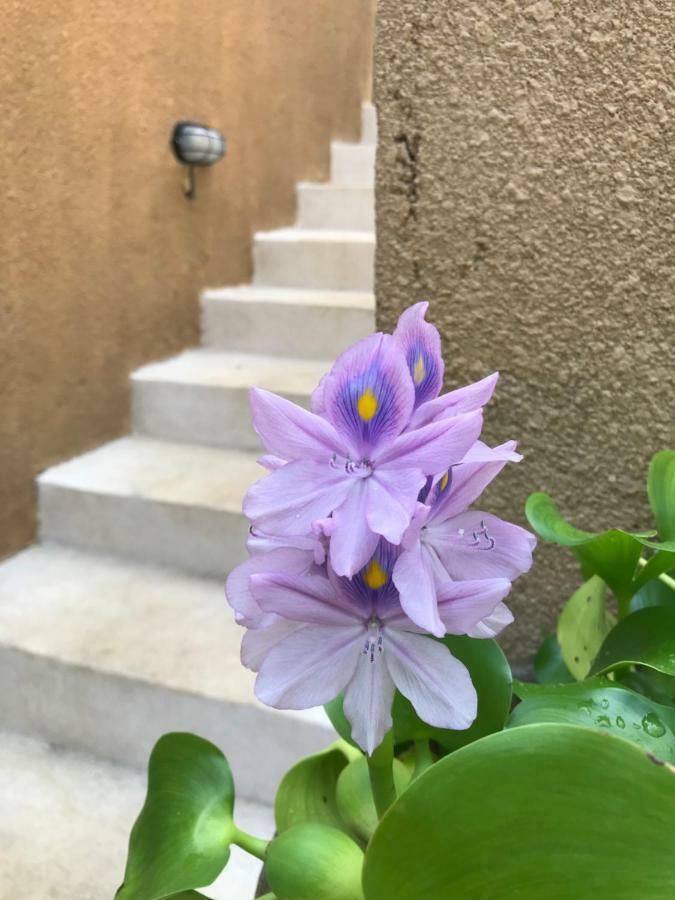 The Daryana Villa 우붓 외부 사진